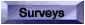 Surveys